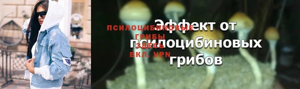 ГАЛЛЮЦИНОГЕННЫЕ ГРИБЫ Краснотурьинск