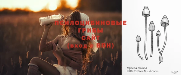 ГАЛЛЮЦИНОГЕННЫЕ ГРИБЫ Краснотурьинск