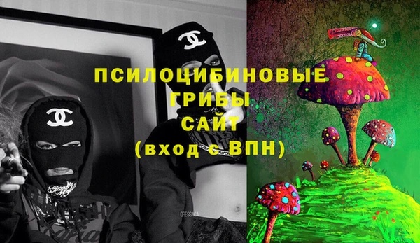 ГАЛЛЮЦИНОГЕННЫЕ ГРИБЫ Краснотурьинск