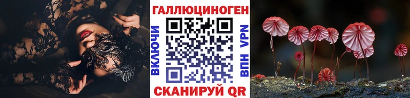 Псилоцибиновые грибы Cubensis  Купить где  Сольцы 